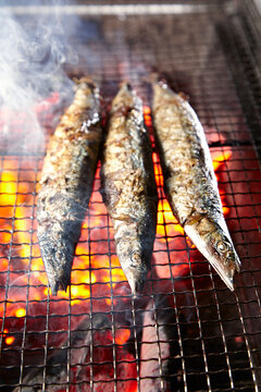 Char-grilled Saury ( Sanma)
