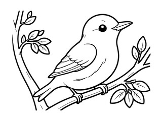 Adorable Little Bird Perched on a Branch: A Delightful Coloring Page