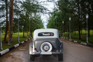 A classic vintage car cruising along a beautiful scenic park road surrounded by natures elegance