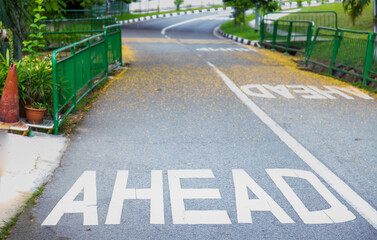 A road sign indicating a forward direction in a beautiful and scenic park setting