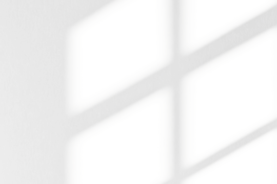 Soft shadows cast on a plain wall creating a dynamic interplay of light and geometry, evoking calm introspection.