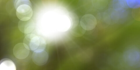Obraz premium Blurred background green nature. white sunlight and bokeh