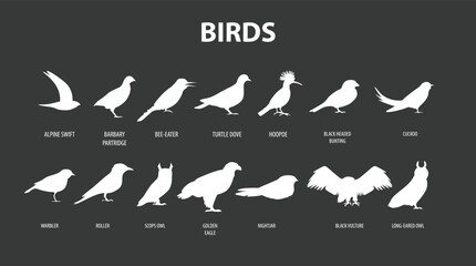 Birds Vector icons set