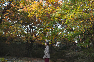 森林公園にいる女性