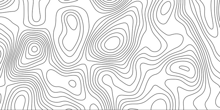 White topology topography vector abstract wallpaper contour map texture white background gray lines 