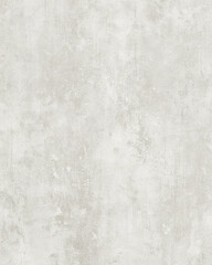 Fototapeta premium Light Gray Grunge Texture Background
