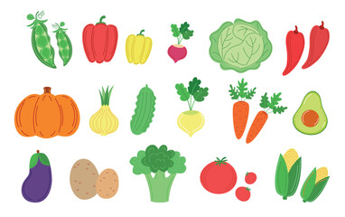 Vegetables isolated vector. Veggies set vector, different vegetables in flat design, vegetables complect isolated on white.  cabbage, carrot, avocado, pepper, onion, potato, pea, radish, cucumber.