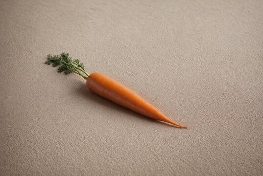 Single fresh carrot in bright orange color with green leaves on a grunge background. Carrots are a type of tuberous vegetable that is known for its reddish-yellow or yellowish-orange color and tree-li