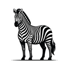 Obraz premium zebra vector illustration