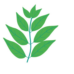 Decorative branch with green leaves illustration