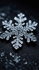 Fototapeta premium macro shot of a single snowflake on dark fabric
