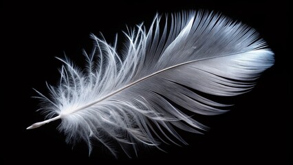 Obraz premium Closeup White Feather on Dark Background - AI Photography