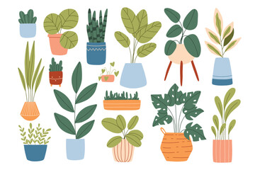 Set of indoor plants in pots. Vector illustration. Collection of house plants. Flat style.