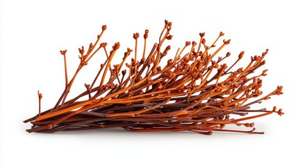 Obraz premium Close-up of tumbleweed with intricate branches on white, highly detailed and isolated with soft-edged shadow, ideal for advertising layouts