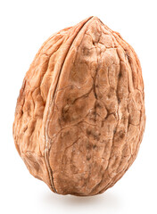 Walnut in shell isolated on white background. File contains clipping path.