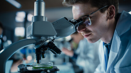 Medical Research and Development Laboratory: Young Caucasian Male Scientist in Glasses Looking at a Sample in a Petri Dish Under a Microscope in an Advanced Biotechnology Lab