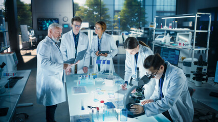 Head of Laboratory Making a Bioengineering Experiment with a Group of Young Science College...