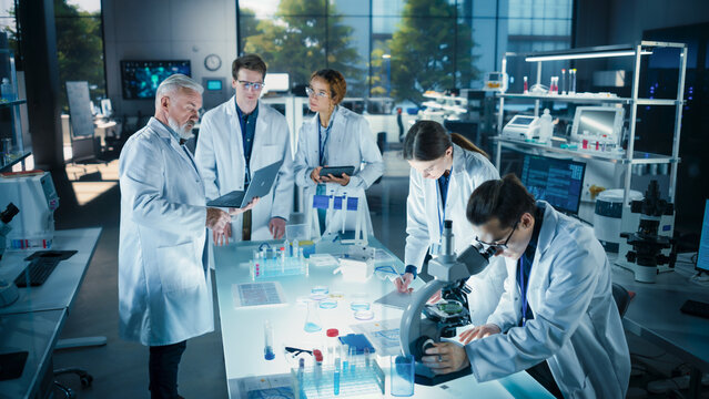 Modern Medicine Research Laboratory: Diverse Team of Smart Young Scientists Conducting an Experiment Under Senior Professor's Supervision. Advanced Microbiology Lab with High Tech Equipment