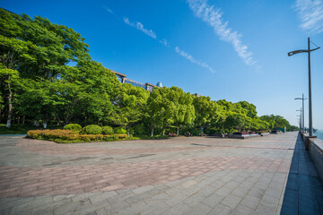 Tranquil Urban Park Setting on a Clear Day