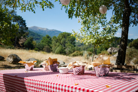 Picnic table laden with food in rustic containers, under a leafy tree, with a mountain backdrop.  Outdoor dining scene.