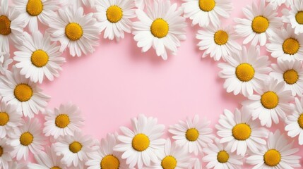 Obraz premium Cheerful and minimalistic flat lay of white daisy flowers on pink background with scattered arrangement and yellow centers