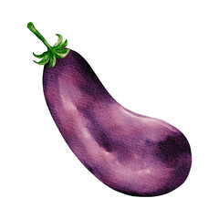 Eggplant Watercolor