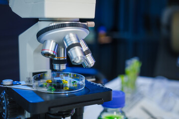A modern research lab focused on plant genetic engineering, enhancing food and meat production. The...