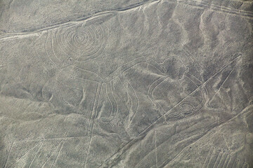 Aerial view of Nazca Lines - Monkey geoglyph, Peru.
