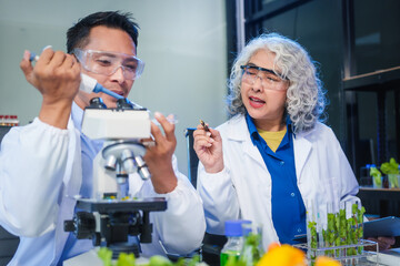 A female and male scientist conduct plant research in a laboratory, using microscopes, petri...