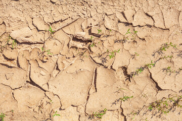 Ausgetrockneter rissiger Boden, Dürre, Trockenheit, Klimawandel, Deutschland