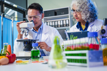 A female and male scientist conduct plant research in a laboratory, using microscopes, petri dishes,test tubes. researchers analyze genetically modified plants, vegetables, pork, nutritional value