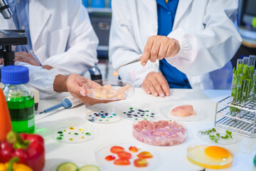 A female and male scientist conduct plant research in a laboratory, using microscopes, petri dishes,test tubes. researchers analyze genetically modified plants, vegetables, pork, nutritional value