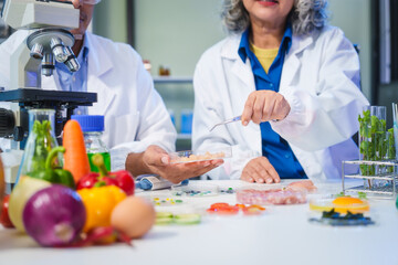 A female and male scientist conduct plant research in a laboratory, using microscopes, petri dishes,test tubes. researchers analyze genetically modified plants, vegetables, pork, nutritional value