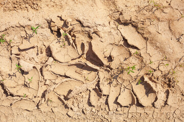 Ausgetrockneter rissiger Boden, Dürre, Trockenheit, Klimawandel, Deutschland