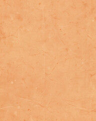 Obraz premium Coral Paper Texture Background