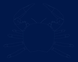 contour crab isolated on blue background. Vector illustration