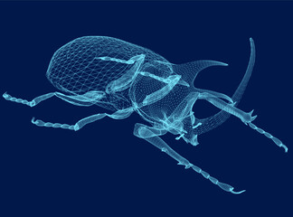 Vector illustration wireframe of rhinoceros beetle. 3D