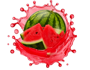 3d realistic vector watermelon with watermelon juice splash isolated on png transparent background