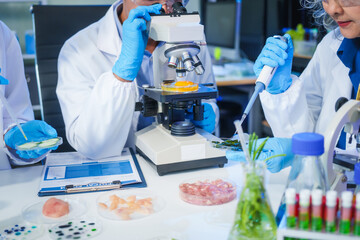 A male scientist and two women conduct plant research in a laboratory.  microscopes, petri...