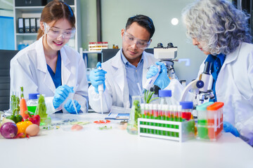 A male scientist and two women conduct plant research in a laboratory.  microscopes, petri dishes,test tubes to analyze genetically modified plants, food, meat, eggs,vegetables for nutritional value