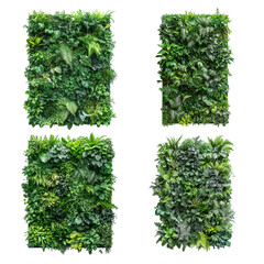 Obraz premium Vertical Greenery Walls Lush Indoor Plants, Nature Designs