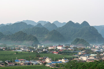 Tea hill at Moc Chau tea farm, Son La.