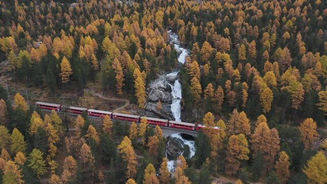 Bernina waterfall flowing through colorful larch forest in autumn, aerial pull out, engadine valley, canton of Graub&uuml;nden, Switzerland, traditional express train passing an old aqueduct bridge