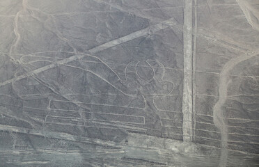 Aerial view of Nazca Lines - Parrot geoglyph, Peru.
