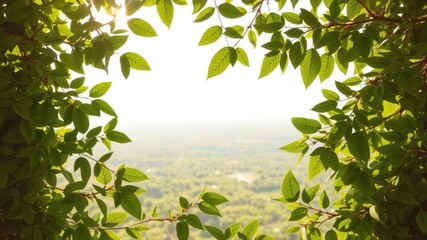 Obraz premium Green leaves forming a frame against a bright panoramic background, outdoors