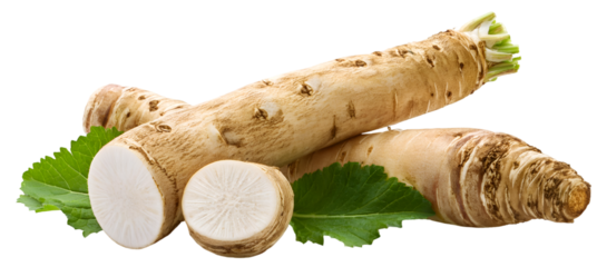 Fresh horseradish horseradish root isolated