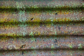 Mossy zinc surface texture