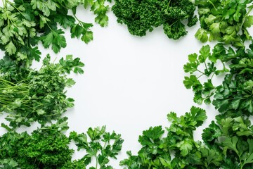 Naklejka premium Fresh herbs surround a minimalist white background creating a vibrant culinary display for cooking