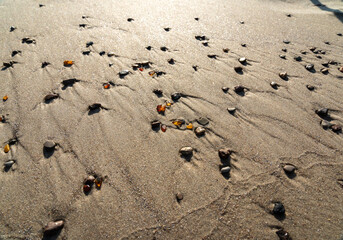 Amber stones on sea coast. Amber gems search on Baltic sea shore, fossilized tree resin crystals on sand