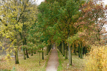Naklejka premium Autumnal path lined with colorful trees. Person walks down a gravel path. Fall foliage.